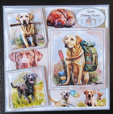 The Labrador Retriever Mini Page Kit by Davina Rundle