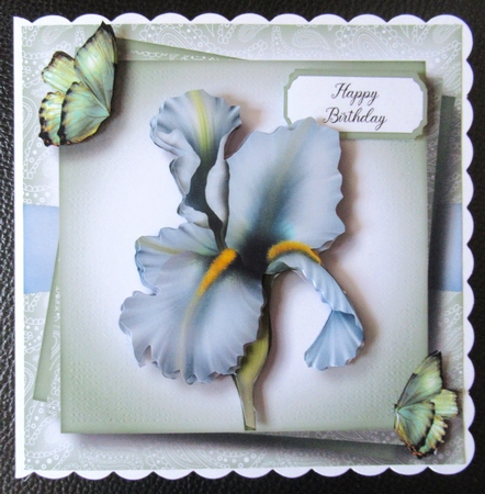 Gorgeous Pale Blue Iris & Butterflies by Davina Rundle