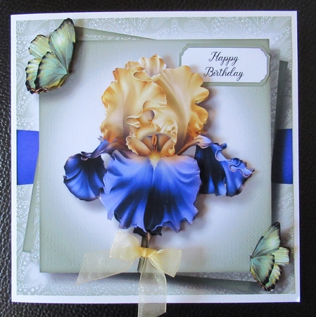 Gorgeous Purple & Yellow Iris & Butterflies by Davina Rundle