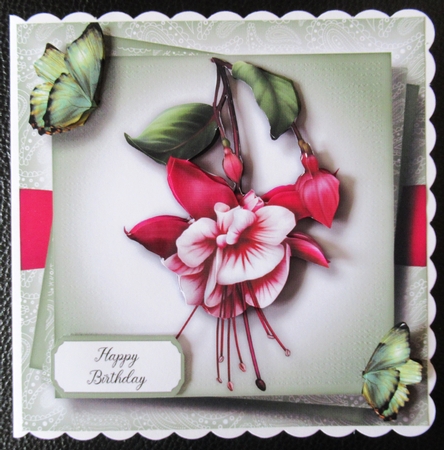 Gorgeous Fuchsia & Butterflies by Davina Rundle