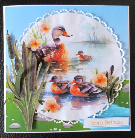 Lovely ducks by Davina Rundle
