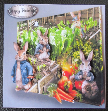 in the veg patch by Davina Rundle