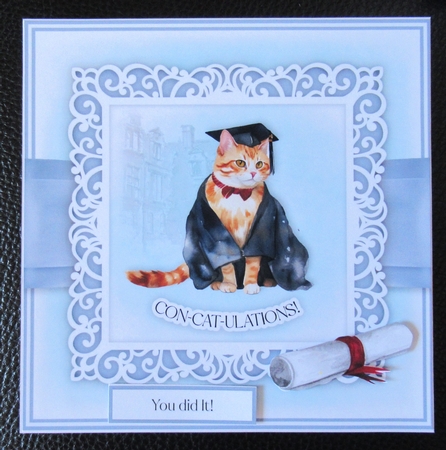Animals in a Graduation Cap Bumper Set by Davina Rundle