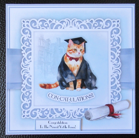 Animals in a Graduation Cap Bumper Set by Davina Rundle