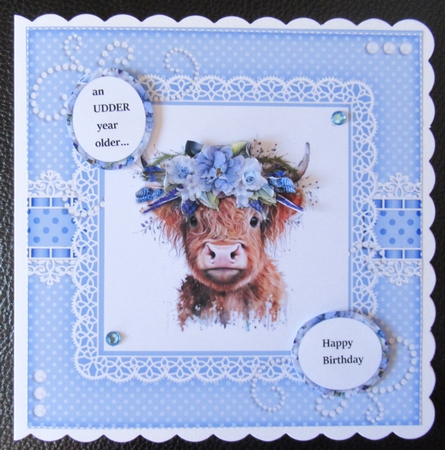 An Udder Year Older  by Davina Rundle