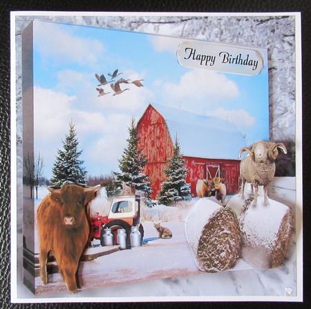 winter farm by Davina Rundle