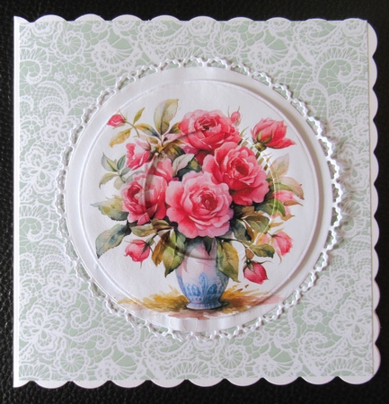 Beautiful pink roses by Davina Rundle