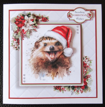 The Christmas Hedgehog by Davina Rundle