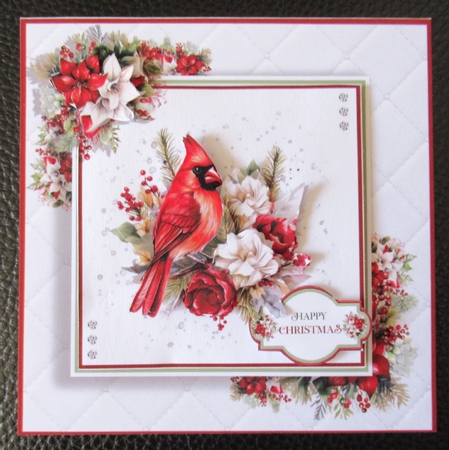 The Christmas Cardinal by Davina Rundle