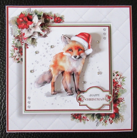 The Christmas Fox by Davina Rundle