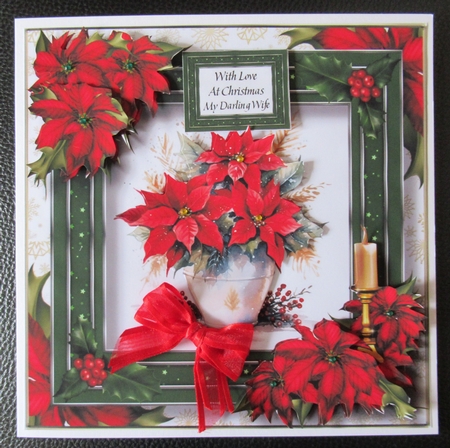 Jolly Christmas Vase & Red Poinsettias by Davina Rundle