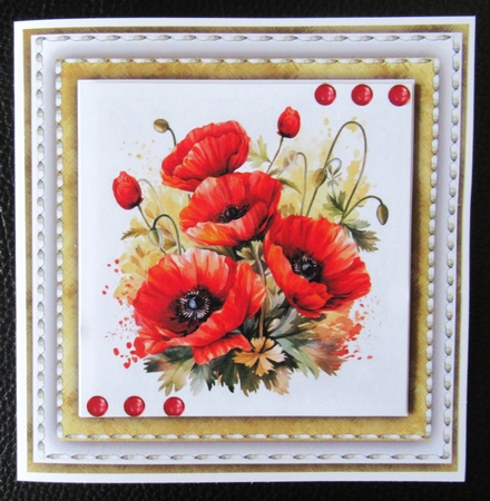 7x5 7x5 Mini Kit Beautiful Red Poppys  by Davina Rundle