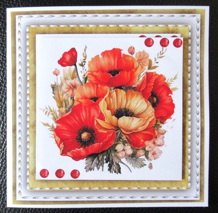 7x5 7x5 Mini Kit Beautiful Red Poppys  by Davina Rundle