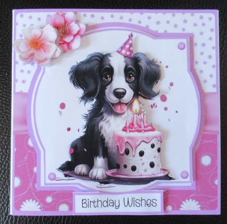 Party Animals by Davina Rundle