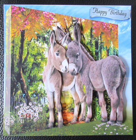 donkey foals by Davina Rundle