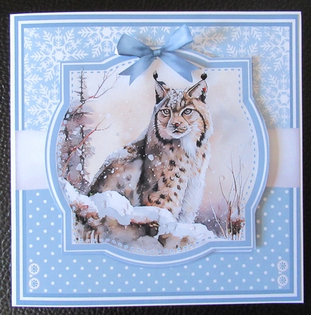 MIXED WINTER ANIMALS by Davina Rundle