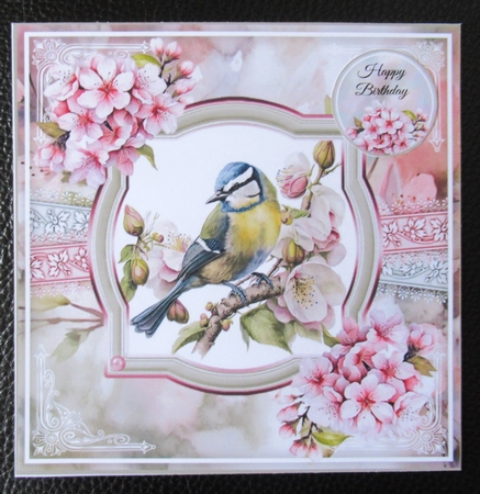 Blue Tit And Cherry Blossom Mini Page Kit  by Davina Rundle