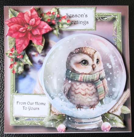 Gorgeous Owl Snowglobe 1 by Davina Rundle