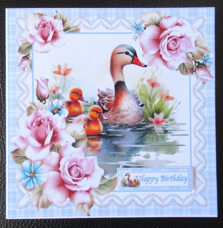8x8 Its a ducks life 2 mini kit  by Davina Rundle