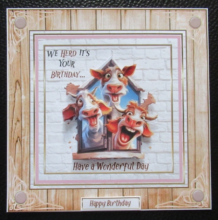 We herd its your birthday 7x7ins kit with bookmarks by Davina Rundle