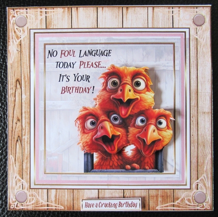 No Foul Language Please birthday 7x7ins kit with bookmarks by Davina Rundle