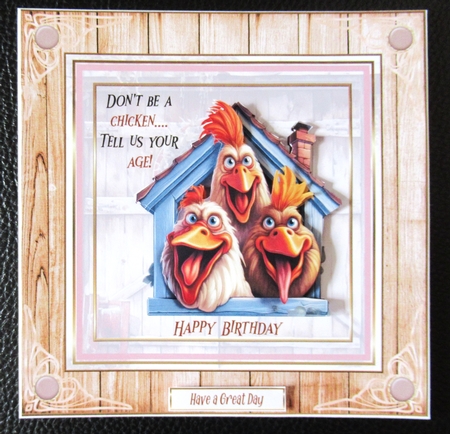 Dont be a chicken birthday 7x7ins kit with bookmarks by Davina Rundle