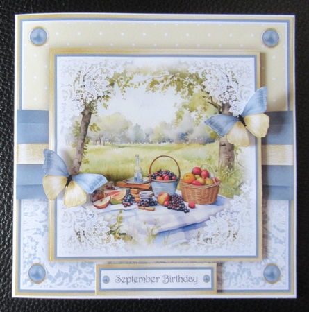 A Summer Picnic Bumper Set by Davina Rundle