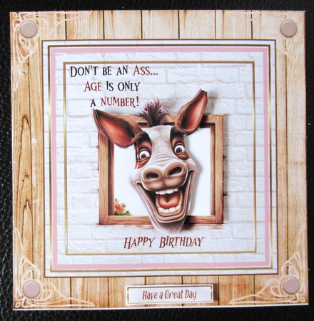 Dont be an ass 7x7ins Topper by Davina Rundle