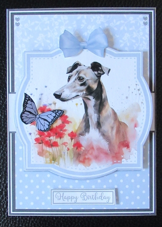 WHIPPETS by Davina Rundle