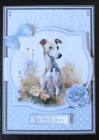 WHIPPETS by Davina Rundle