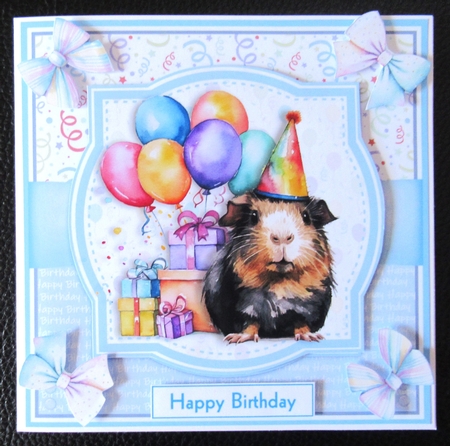 BIRTHDAY GUINEA PIGS by Davina Rundle