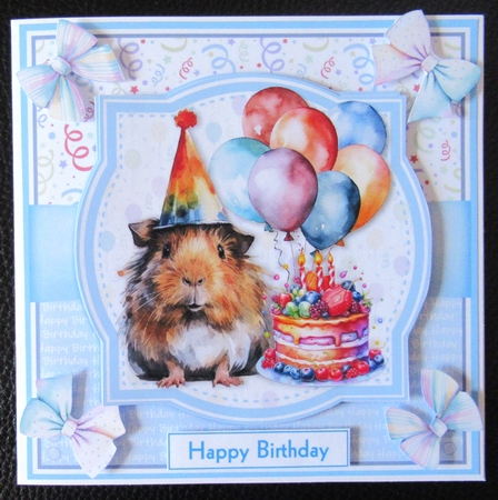 BIRTHDAY GUINEA PIGS by Davina Rundle