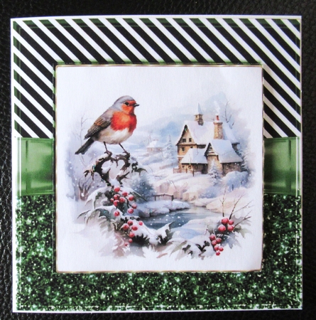 Beautiful winter birds 2 by Davina Rundle