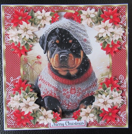 Christmas pup in jumper card front 5 by Davina Rundle