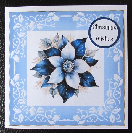 Pretty blue poinsettia 2 by Davina Rundle