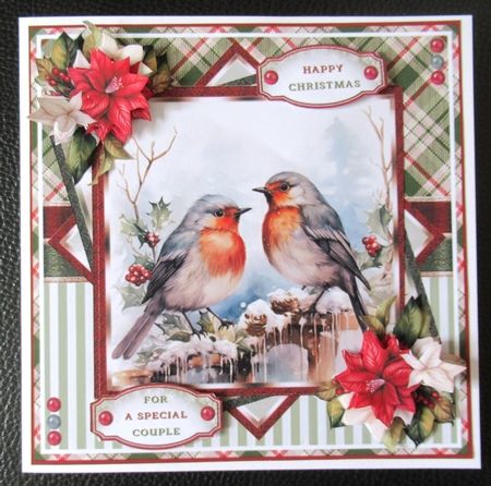 Lovely Winter Robins Mini Page Kit by Davina Rundle