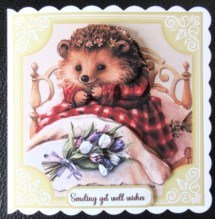 Hedgehog wishes by Davina Rundle