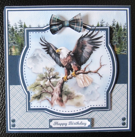 EAGLES by Davina Rundle