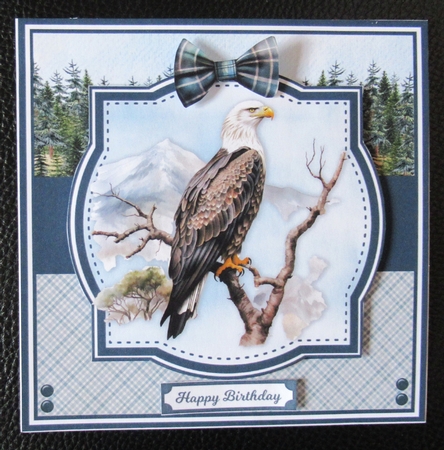 EAGLES by Davina Rundle