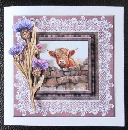 Butterfly Lace Frames-Dusty by Davina Rundle