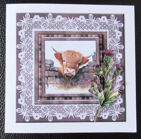 Butterfly Lace Frames-Dusty by Davina Rundle