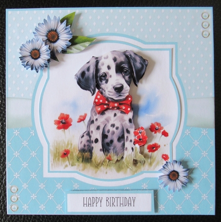 Dalmation Pups by Davina Rundle