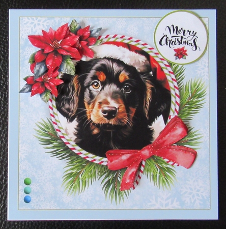 Cute Christmas Puppies by Davina Rundle