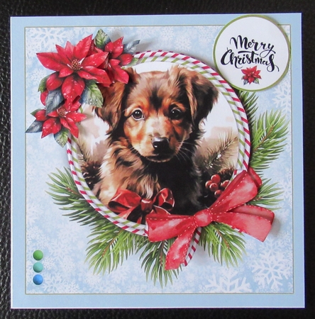 Cute Christmas Puppies by Davina Rundle