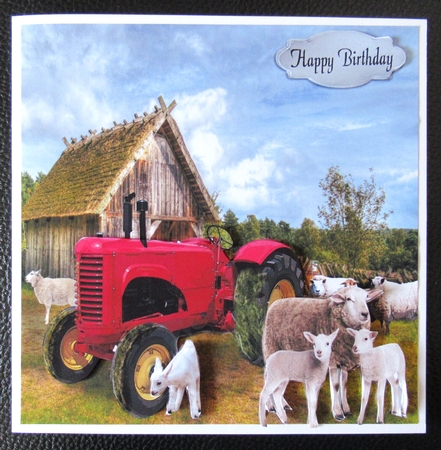 on the farm by Davina Rundle