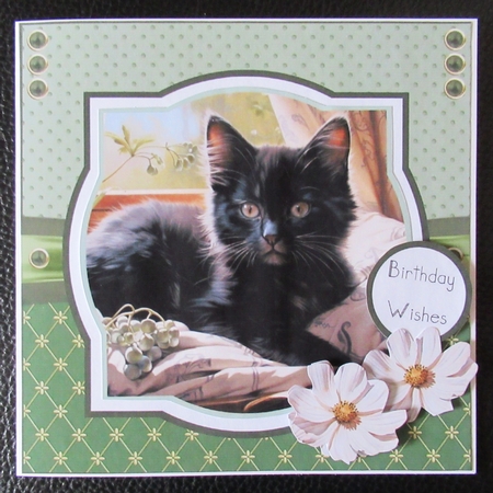 Purrfect Feline Friends by Davina Rundle
