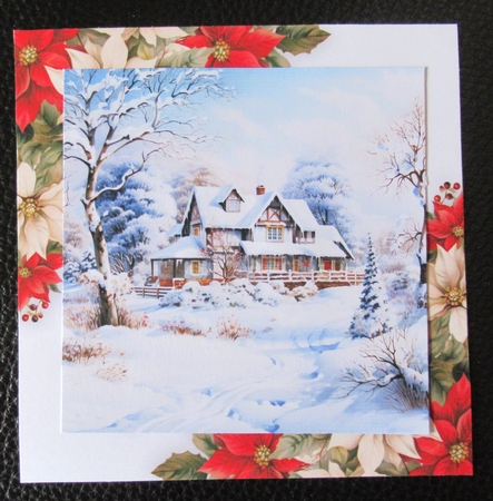 Under heavy snow 2 by Davina Rundle