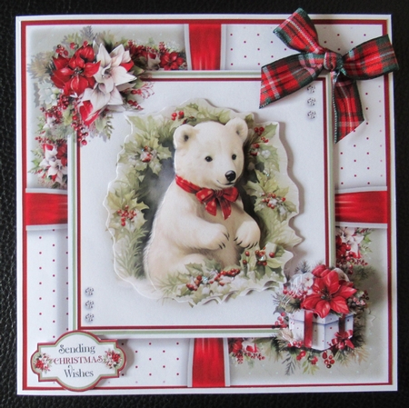 The Christmas Polar Bear by Davina Rundle