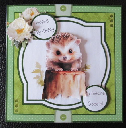 Cute Woodland Critters by Davina Rundle