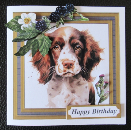 Springer pup card front 6 by Davina Rundle